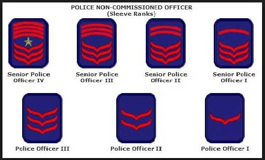 Police-insignia-2